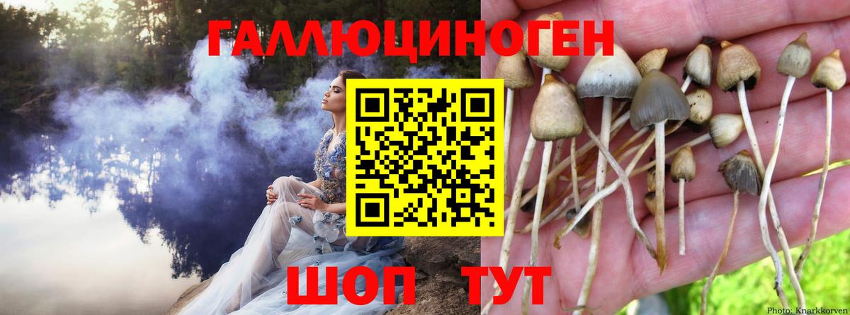 Челябинск  купить  цена  Вход с VPN  Галлюциногенные грибы прущие грибы 